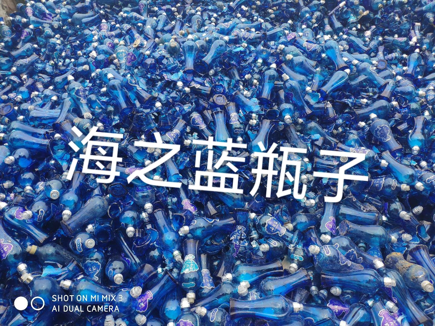 广陵区海之蓝瓶回收
