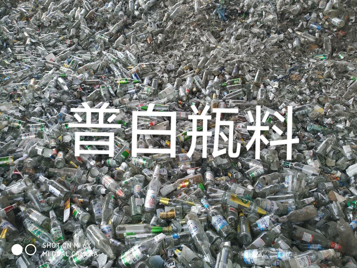 广陵区普白瓶料回收
